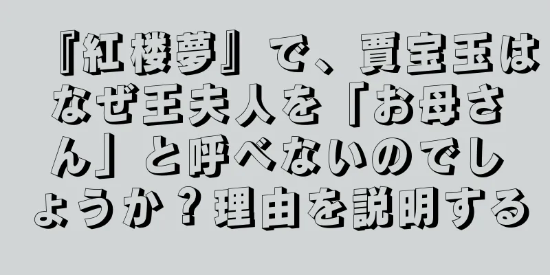 『紅楼夢』で、賈宝玉はなぜ王夫人を「お母さん」と呼べないのでしょうか？理由を説明する