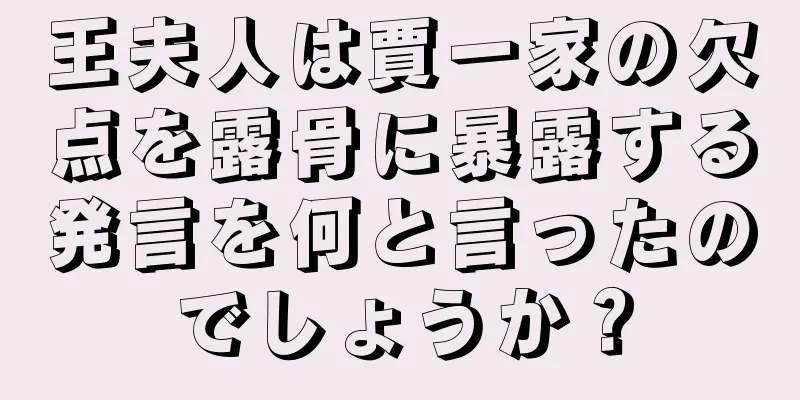 王夫人は賈一家の欠点を露骨に暴露する発言を何と言ったのでしょうか？