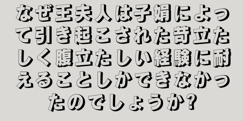 なぜ王夫人は子娟によって引き起こされた苛立たしく腹立たしい経験に耐えることしかできなかったのでしょうか?