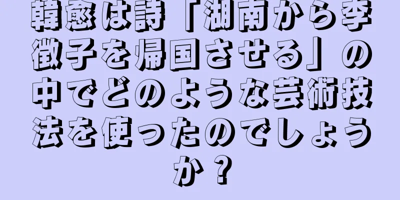 韓愈は詩「湖南から李徴子を帰国させる」の中でどのような芸術技法を使ったのでしょうか？
