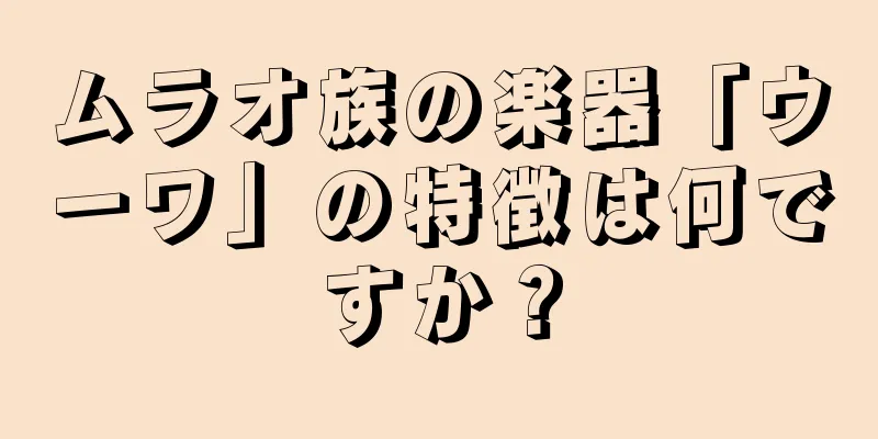ムラオ族の楽器「ウーワ」の特徴は何ですか？