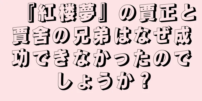 『紅楼夢』の賈正と賈舍の兄弟はなぜ成功できなかったのでしょうか？