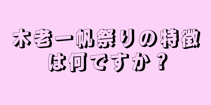 木老一帆祭りの特徴は何ですか？