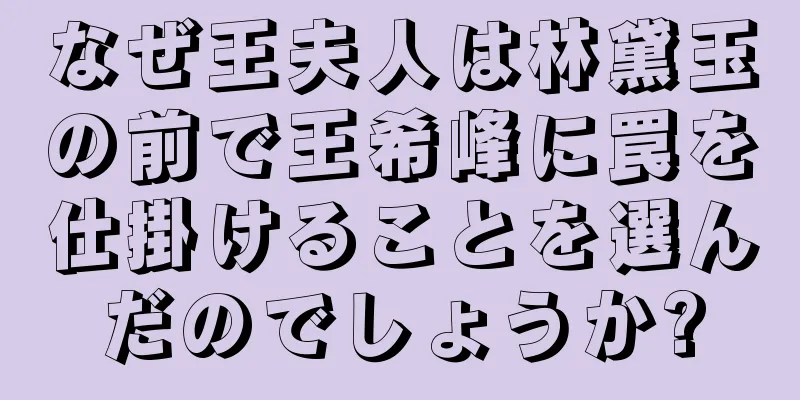 なぜ王夫人は林黛玉の前で王希峰に罠を仕掛けることを選んだのでしょうか?