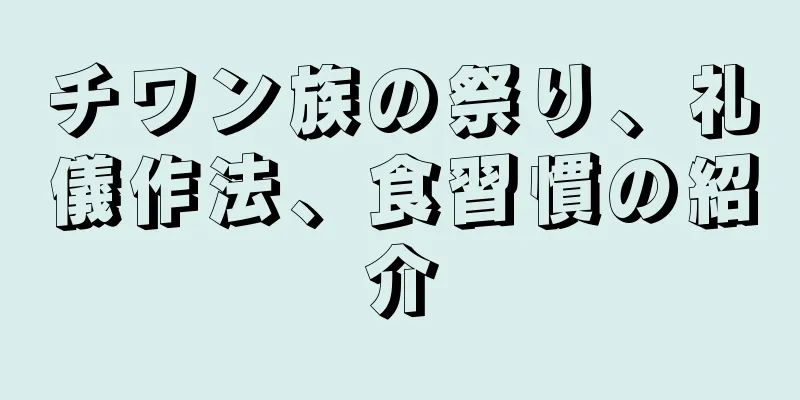 チワン族の祭り、礼儀作法、食習慣の紹介