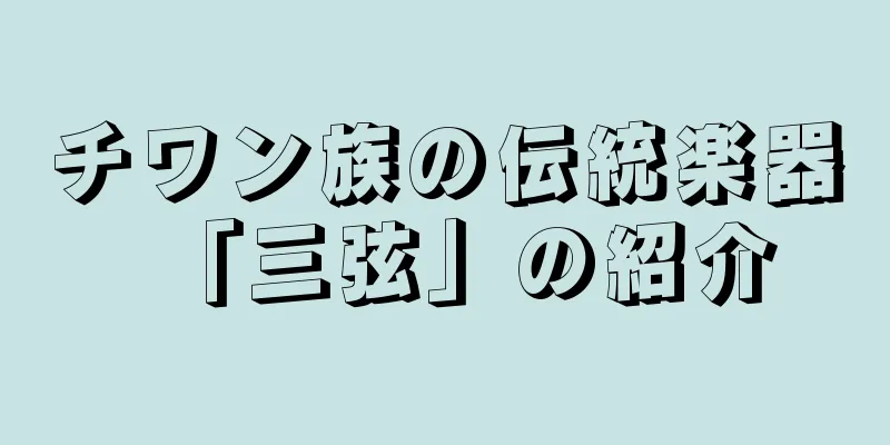 チワン族の伝統楽器「三弦」の紹介