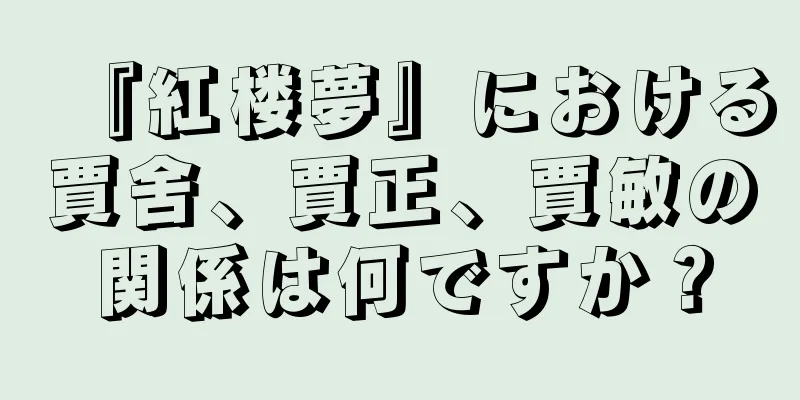 『紅楼夢』における賈舍、賈正、賈敏の関係は何ですか？