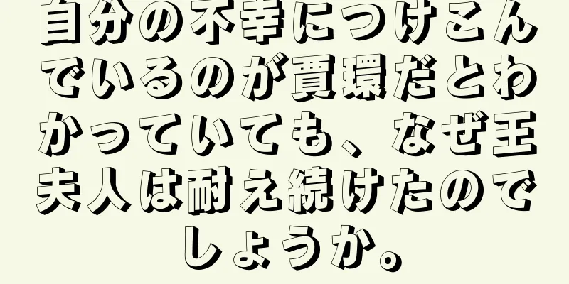 自分の不幸につけこんでいるのが賈環だとわかっていても、なぜ王夫人は耐え続けたのでしょうか。