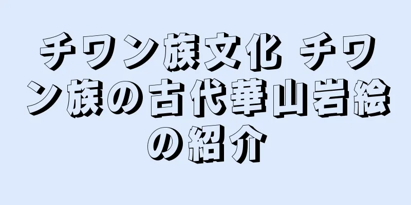 チワン族文化 チワン族の古代華山岩絵の紹介