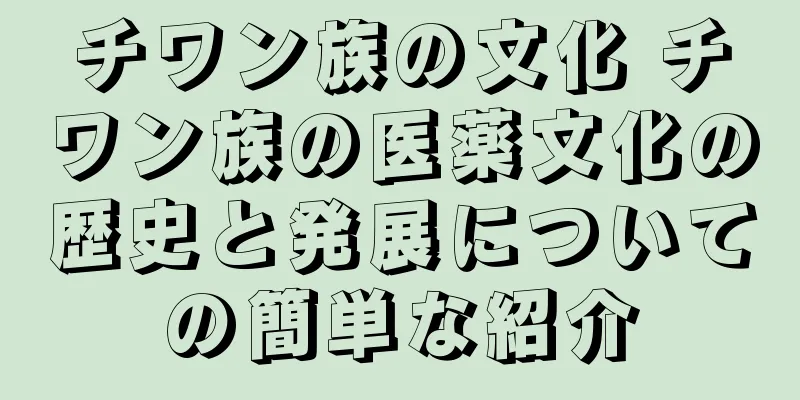チワン族の文化 チワン族の医薬文化の歴史と発展についての簡単な紹介