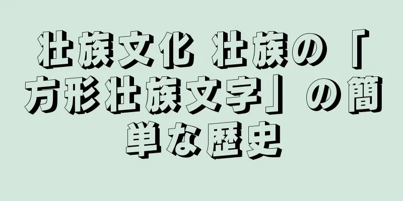 壮族文化 壮族の「方形壮族文字」の簡単な歴史