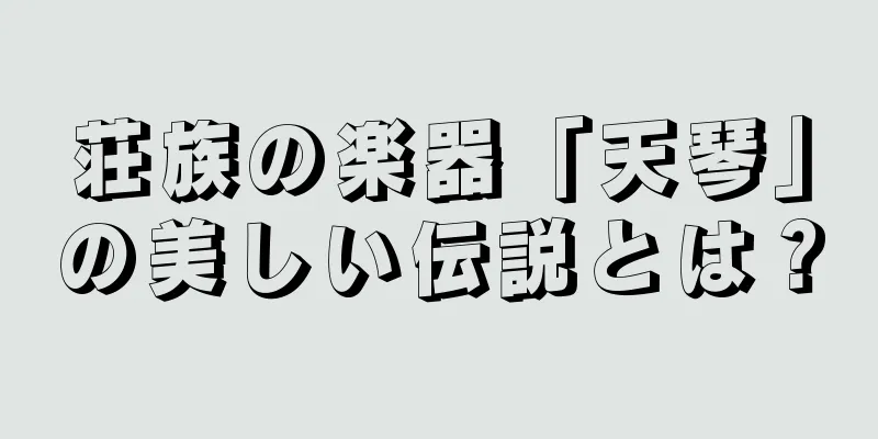 荘族の楽器「天琴」の美しい伝説とは？
