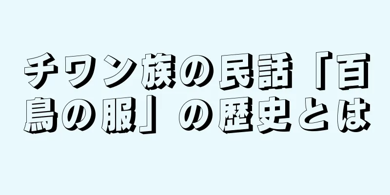 チワン族の民話「百鳥の服」の歴史とは