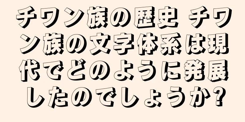 チワン族の歴史 チワン族の文字体系は現代でどのように発展したのでしょうか?