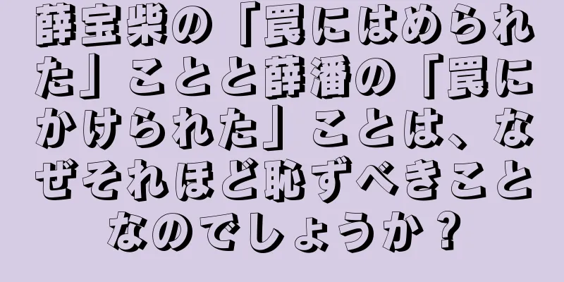 薛宝柴の「罠にはめられた」ことと薛潘の「罠にかけられた」ことは、なぜそれほど恥ずべきことなのでしょうか？