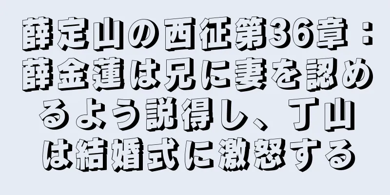 薛定山の西征第36章：薛金蓮は兄に妻を認めるよう説得し、丁山は結婚式に激怒する