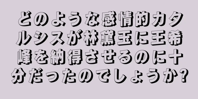 どのような感情的カタルシスが林黛玉に王希峰を納得させるのに十分だったのでしょうか?