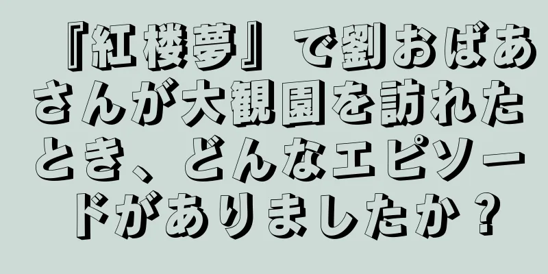『紅楼夢』で劉おばあさんが大観園を訪れたとき、どんなエピソードがありましたか？