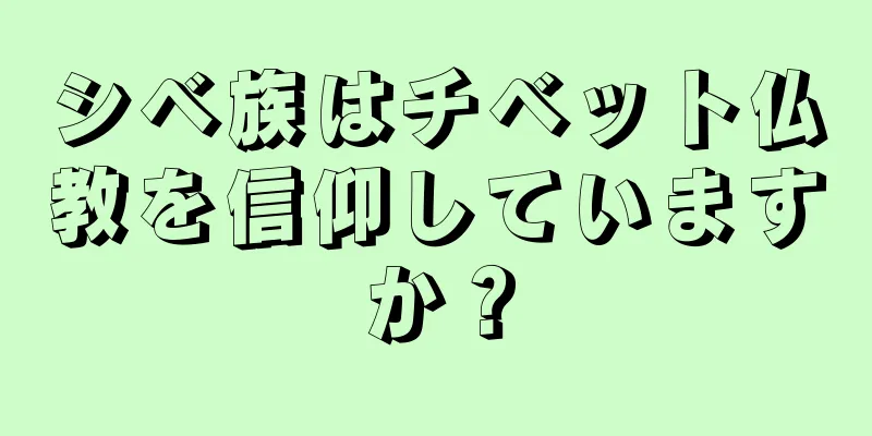 シベ族はチベット仏教を信仰していますか？