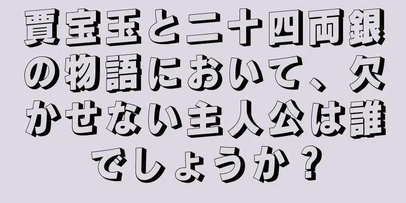 賈宝玉と二十四両銀の物語において、欠かせない主人公は誰でしょうか？