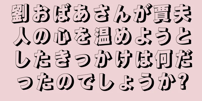 劉おばあさんが賈夫人の心を温めようとしたきっかけは何だったのでしょうか?