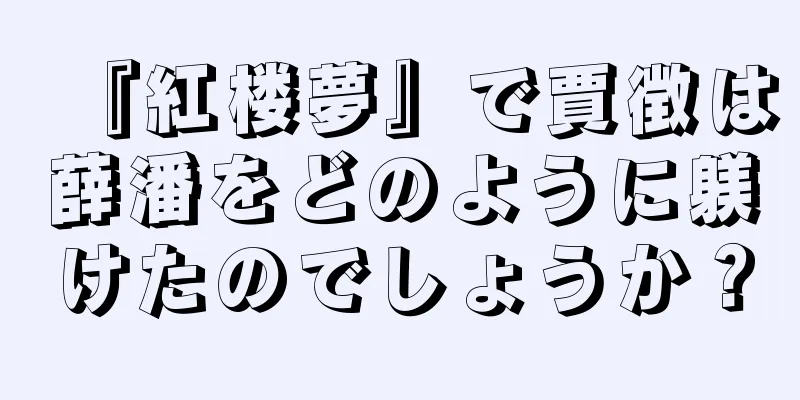 『紅楼夢』で賈徴は薛潘をどのように躾けたのでしょうか？