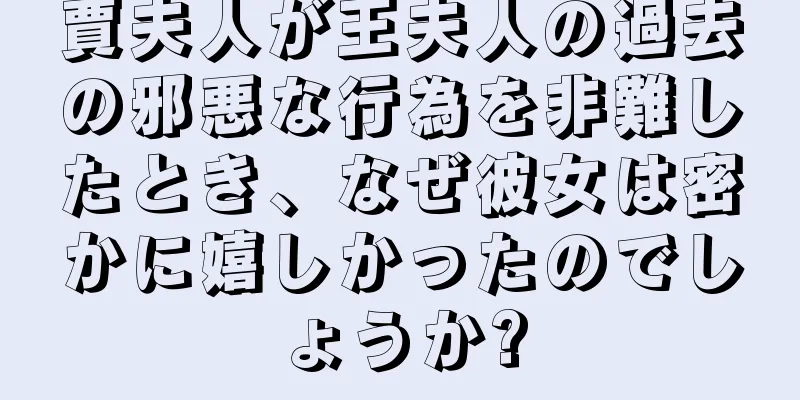 賈夫人が王夫人の過去の邪悪な行為を非難したとき、なぜ彼女は密かに嬉しかったのでしょうか?