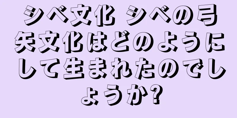 シベ文化 シベの弓矢文化はどのようにして生まれたのでしょうか?