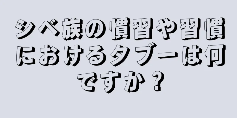 シベ族の慣習や習慣におけるタブーは何ですか？
