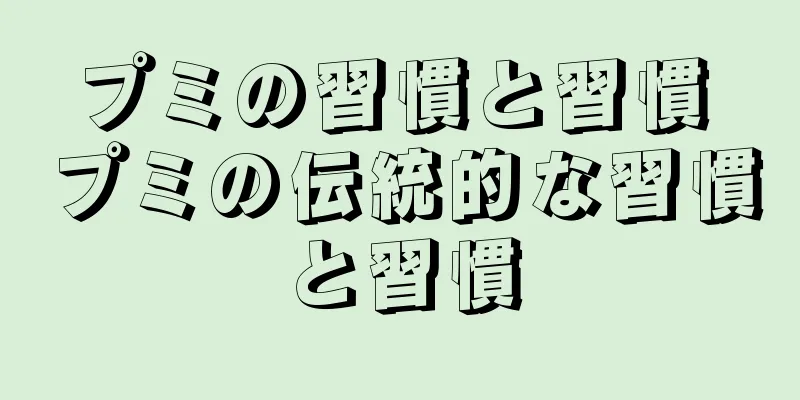 プミの習慣と習慣 プミの伝統的な習慣と習慣