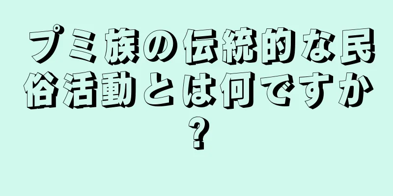 プミ族の伝統的な民俗活動とは何ですか?