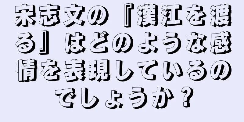 宋志文の『漢江を渡る』はどのような感情を表現しているのでしょうか？
