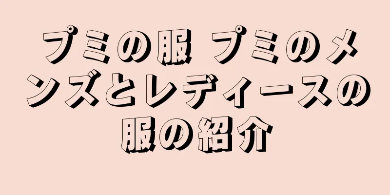 プミの服 プミのメンズとレディースの服の紹介