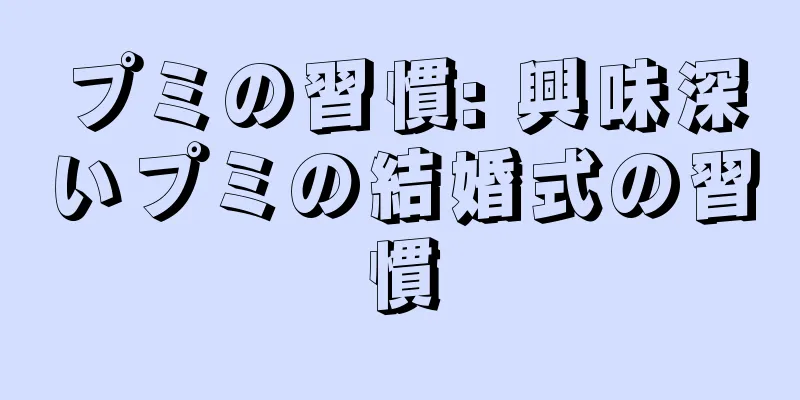 プミの習慣: 興味深いプミの結婚式の習慣