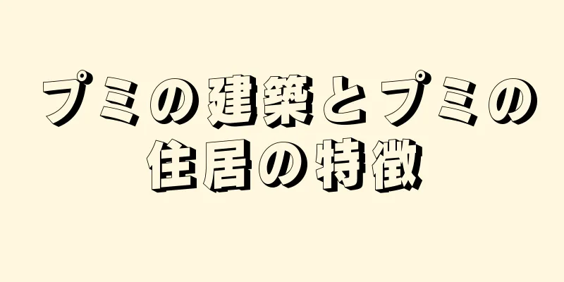 プミの建築とプミの住居の特徴