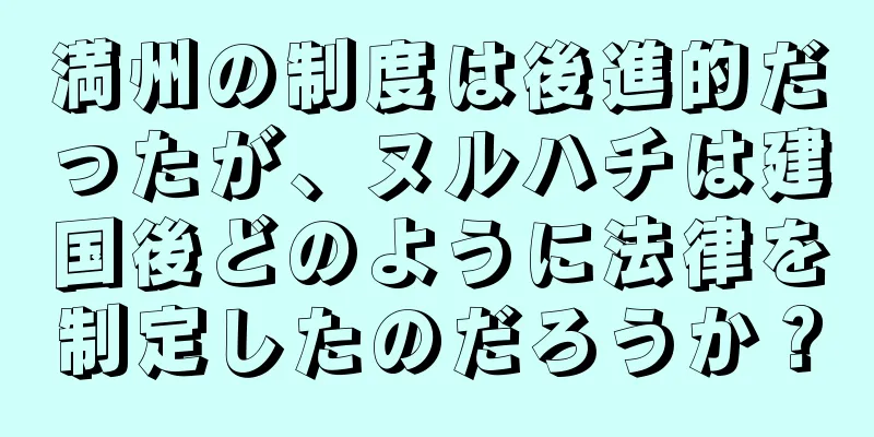 満州の制度は後進的だったが、ヌルハチは建国後どのように法律を制定したのだろうか？