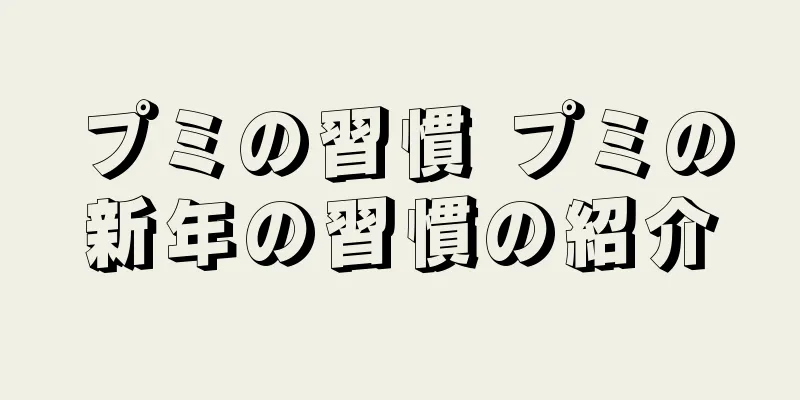 プミの習慣 プミの新年の習慣の紹介