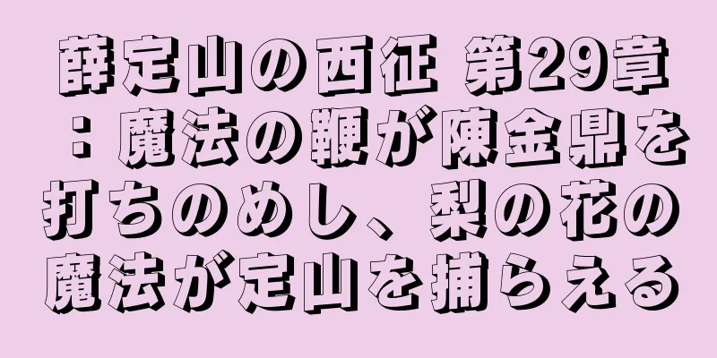 薛定山の西征 第29章：魔法の鞭が陳金鼎を打ちのめし、梨の花の魔法が定山を捕らえる
