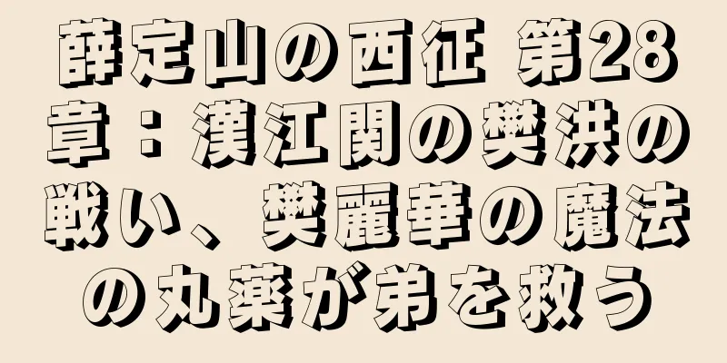 薛定山の西征 第28章：漢江関の樊洪の戦い、樊麗華の魔法の丸薬が弟を救う