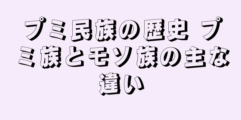 プミ民族の歴史 プミ族とモソ族の主な違い