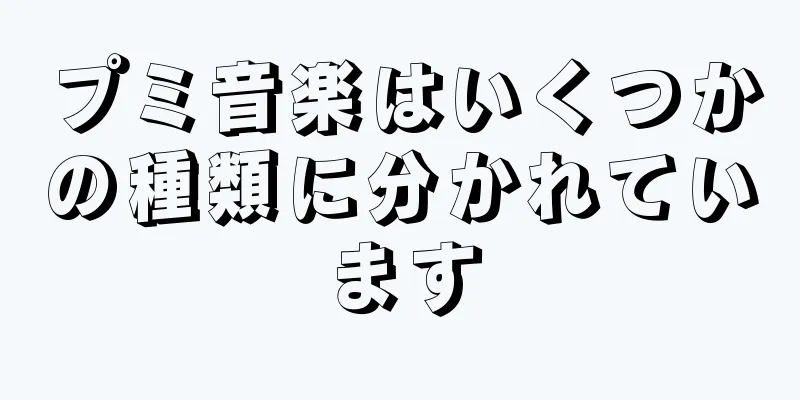 プミ音楽はいくつかの種類に分かれています