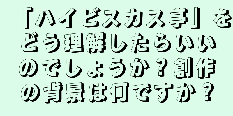 「ハイビスカス亭」をどう理解したらいいのでしょうか？創作の背景は何ですか？