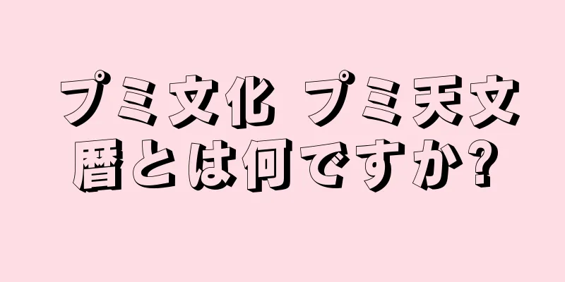 プミ文化 プミ天文暦とは何ですか?