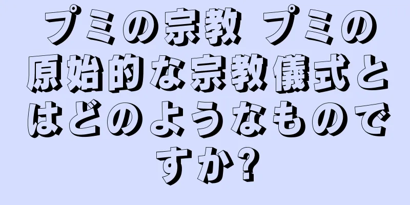 プミの宗教 プミの原始的な宗教儀式とはどのようなものですか?