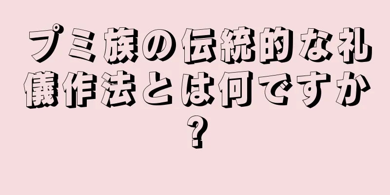 プミ族の伝統的な礼儀作法とは何ですか?