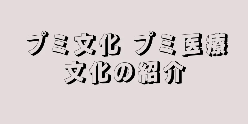 プミ文化 プミ医療文化の紹介