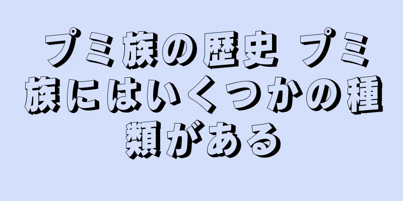 プミ族の歴史 プミ族にはいくつかの種類がある