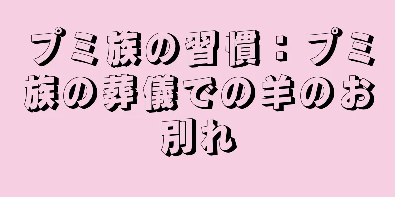 プミ族の習慣：プミ族の葬儀での羊のお別れ