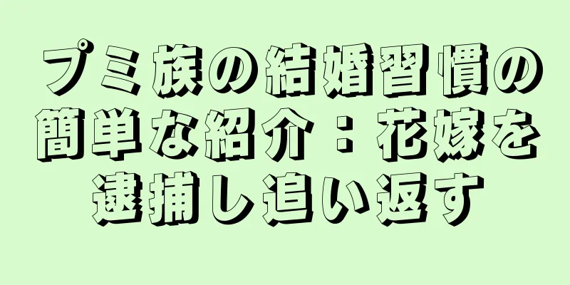 プミ族の結婚習慣の簡単な紹介：花嫁を逮捕し追い返す