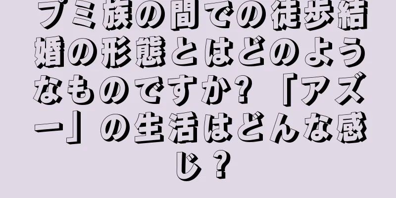 プミ族の間での徒歩結婚の形態とはどのようなものですか? 「アズー」の生活はどんな感じ？